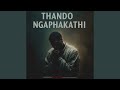 Thando Ngaphakathi