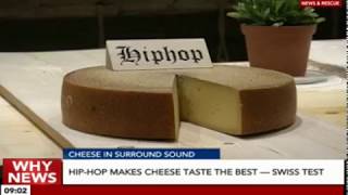 Playing hip-hop to cheese makes it tastier: Swiss study