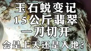 玉石蜕变记，15公斤翡翠，一刀切开会是上天还是入地？ 翡翠 翡翠原石 玉石雕刻