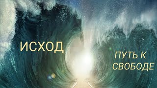 1. Распространение израильтян в Египте и наша плодовитость. Исход - путь к свободе (дух. упр.).