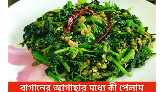 বাগানের আগাছা থেকে কি পেলাম | Lamb's quarters | 2 minutes cooking বথুয়া শাক | low carb diet | fresh