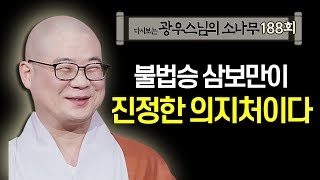 불법승 삼보만이 진정한 의지처이다 [초심으로 돌아가는 광우스님의 소나무 188회]