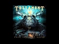 Testament - Rise Up