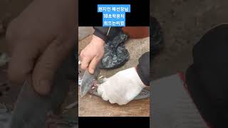 생활낚시포인트방파제포인트를찾아..#shorts#학꽁치#도보권낚시#방파제낚시