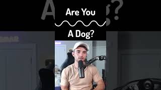 Are you a Dog?
