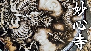 [Kyoto] What is Japan's oldest bath at Myoshinji, the largest Zen temple in Japan? Temple Dragon