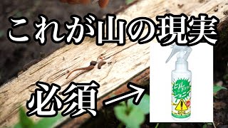 【山の恐怖】キャンプするってレベルじゃねー！ヤマビル捕まえて塩と忌避剤をかけてみた。山林購入やブッシュクラフトしたい方はお気をつけ下さい。