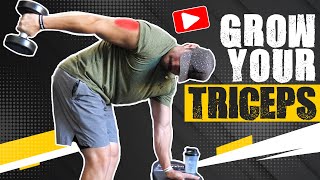 How to Train TRICEPS Using Dumbbells - DB Arm Extension Exercises