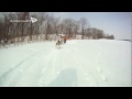 2013冬 【北海道犬ぞり体験ツアー】mushing works dog sledding tour