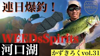 かずきろくvol.31 WEEDsSpirits TSUCHINOKOポークルアーで河口湖バス釣り！パドル系のツチノコはヤバかった！本当に河口湖？？ウィーズスピリッツを使用した河口湖バスフィッシング