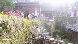 白墙灰瓦间的山水风情，婺源梯田油菜花和篁岭晒秋。《读行笔记》