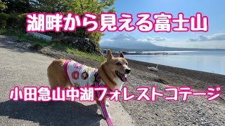 2022年5月24月〜25日　夫婦とワンコでキャンプ🏕   小田急山中湖フォレストコテージ