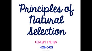 Unit 6 Evolution HONORS Concept 1 Notes *UPDATED*
