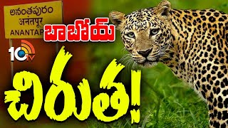 అనంతపురం కల్యాణ దుర్గంలో చిరుత సంచారం కలకలం | Cheetah Hulchul In Anantapur | 10TVNews