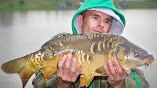 Carp and hornbill with echosound - carp fishing