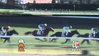 2010.11.21 福島4R　2歳未勝利　サトノタイガー