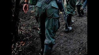 Mueren 5 señalados disidentes de las FARC en Nariño durante combate con las Fuerzas Militares