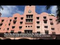 the royal hawaiian resort at waikiki beach the pink palace of the pacific