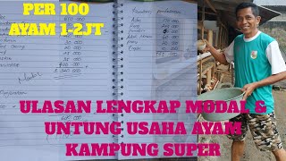 INI DIA UNTUNG & MODAL USAHA AYAM KAMPUNG SUPER