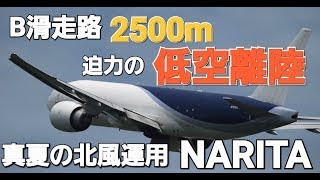 ✈✈RJAA成田空港 B滑走路 真夏の北風運用 迫力の超低空離陸ネパール航空 Nepal AirlinesAirbus A330全日空 (All Nippon Airways)Boeing 787-9