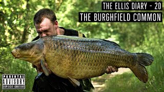 THE ELLIS DIARY - THE BURGHFIELD COMMON!