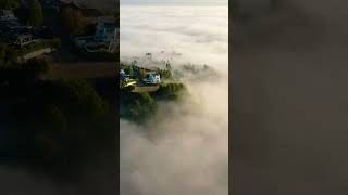 Hidden Foggy Heaven in the City of Los Angeles  #FogMountain #HiddenGem #dronefootage