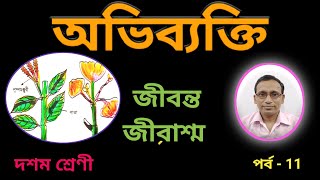 Living Fossil//জীবন্ত জীবাশ্ম//পর্ব -11//Class-X//WBBSE