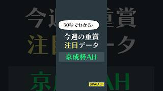 京成杯オータムハンデキャップ 30秒予想