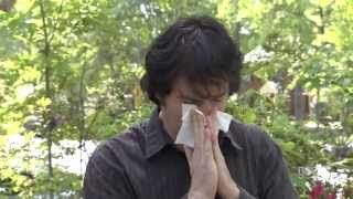 Allergies & Pollen