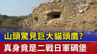 山頭驚見巨大貓頭鷹？真身竟是二戰日軍碉堡