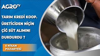 Tarım Kredi Kooperatifleri Üreticiden Niçin Çiğ Süt Alımını Durdurdu ?  - Agro TV