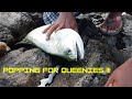 POPPING FOR QUEEN FISH | SURF FISHING | 4K VIDEO | SRI LANKA FISHING