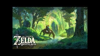1 Hour of Emotional & Relaxing Music - Breath of the Wild