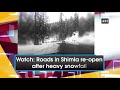 watch roads in shimla re open after heavy snowfall