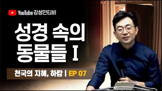 천국의 지혜 하캄 EP.07ㅣ성경 속의 동물들 1 ※강의안 밑에 있습니다