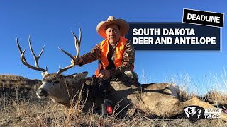What You Need to Know about South Dakota Deer and Pronghorn Applications