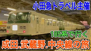 【中央総武むさしの銚子号】185系で普段通れない路線を経由して高尾駅まで乗車してきました。