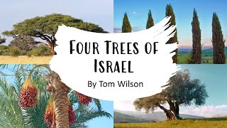 The Four Trees of Israel | Brother Tom Wilson