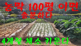 농막 100평 이면 충분하다 4계절 채소 키운다.