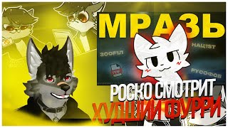 🐺 Роско смотрит prussian mouse - ХУДШИЙ ФУРРИ РОССИИ (PDF, ЗОOШИЗА, НАЦИ, РYСОФОБИЯ)