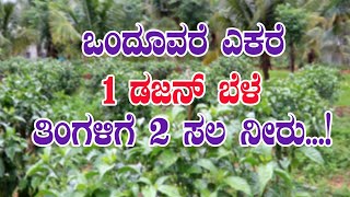 ಒಂದೂವರೆ ಎಕರೆಯಲ್ಲಿ 12 ಬೆಳೆ ಬೆಳೆದ ಮಾದರಿ ಕೃಷಿಕ| 12 crops in 1.5 acre dry land