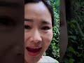 【teaser】一个在大山深处的偶遇，让我们吃到了森林中的美味宴席，一场哈尼族的热情之旅！ shorts cooking 云南 hani