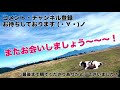 【hafh】飛騨高山のおすすめゲストハウス！築100年以上の古民家をオシャレに改装！soyさん 宿泊記