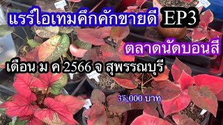 EP3อัพเดตราคาบอนแรร์ไอเทมยังขายดี จ สุพรรณบุรี เดือน ม ค 2566