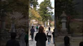 家庭サービス谷汲山華厳寺参道