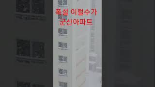 폭설~~ 이럴수가   군산아파트에서