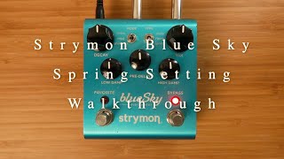 Spring Reverb | Strymon Blue Sky In Depth Walkthrough (No Talking)