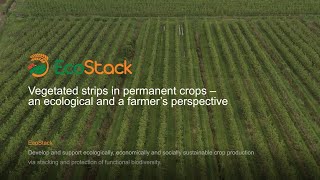 Vegetated strips in permanent crops - an ecological and a farmer's perspective