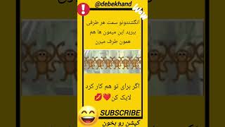 انگشتتو هر طرفی ببری میمون ها همون طرف میرن😎🤭