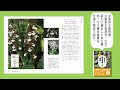 ブックトレイラー『さらに知っておきたい日本の絶滅危惧植物図鑑』